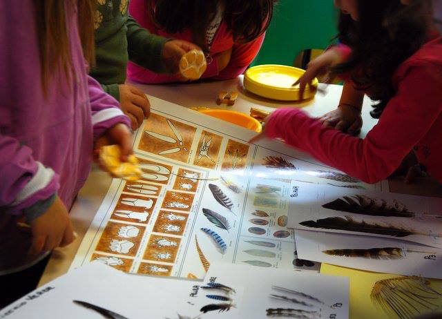 NatureLab - i segreti della natura spiegati ai bambini