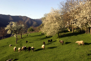 Sulle tracce del Moro